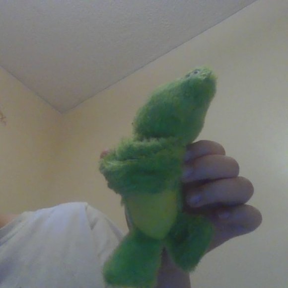 A Green Arm Hugger Frog! - Picture 2 of 4